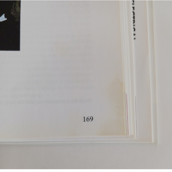 101 GM Muscle Car Performance Projects - Engine Exterior Upgrade Restore DIY - Picture 12 of 13